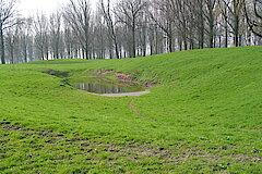 Zonser Grind (1) © Haus der Natur, Biologische Station im Rhein-Kreis Neuss e.V.