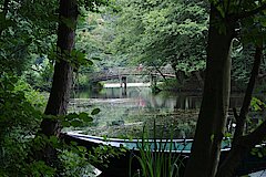 Bagno - teilweise mit Parkcharakter © Biologische Station Kreis Steinfurt e.V.