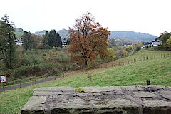 Blick auf Wenholthausen und die Wenneaue © Michaela Fedeli