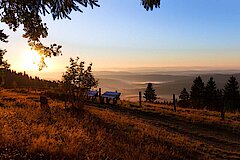 Kalied im Sonnenaufgang © Naturpark Sauerland Rothaargebirge - Kerstin Berens