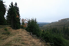  © Regionalforstamt Siegen-Wittgenstein