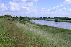 Die Weseraue © Biologische Station Minden-Lübbecke