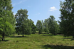 Impressionen aus der Hildener Heide © Biologische Station Haus Bürgel