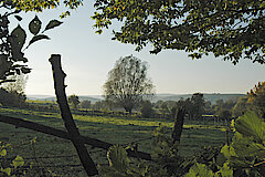 Beberaue © Landschaftsstation im Kreis Höxter e.V.