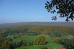 Der Schwalenberger Wald © M. Füller