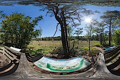 Panoramafoto am Donoperteich © NABU NRW