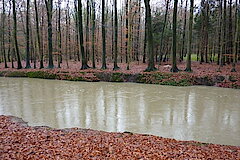 Herbststimmung © NABU Naturschutzstation Münsterland e.V.