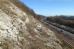 Kalkfelsen mit Stadtautobahn © Biologische Station Gütersloh-Bielefeld