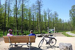 Aussichtspunkt am Erlenwald im Hochsauerlandkreis © Stephanie Terren