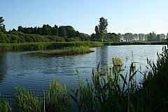 Flachsee © Andreas Barkow