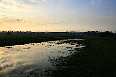 Mendener Aue bei Hochwasser © Corinne Buch