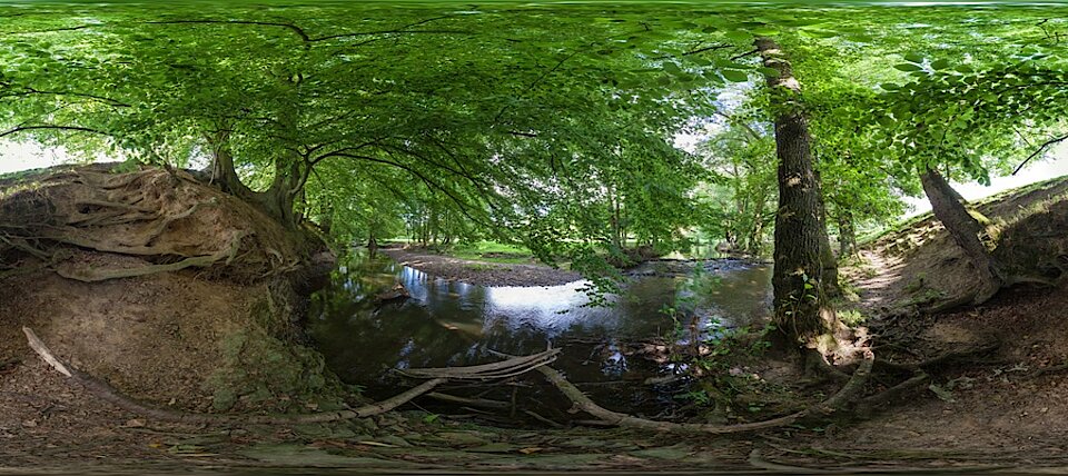 Brander Wald © NABU NRW