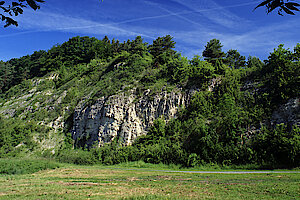 Felsköpfe am Schwimelkopf