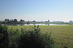 Hochwasser im Strang © Friederike Stelzner