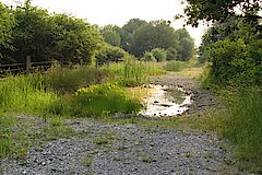 Abendwanderung durch das Gebiet Apricke © Naturschutzzentrum Märkischer Kreis e.V.