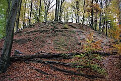 Helpensteiner Bachtal © Lars Delling