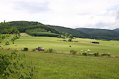 Grünland im Gelängebachtal © Biologische Station HSK