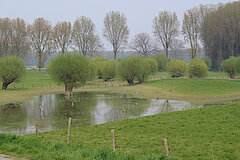 Hochwasser © Haus der Natur, Biologische Station im Rhein-Kreis Neuss e.V.