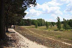 Teverner Heide © Lars Delling