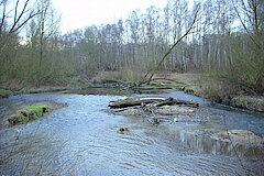 Naturnaher Wurmabschnitt © Biologische Station Städteregion Aachen e.V.