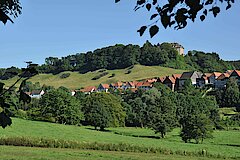 Am Nordhang des Burgberges © M. Füller