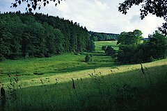 Ehemaliger Truppenübungsplatz © Naturschutzzentrum Märkischer Kreis e.V.