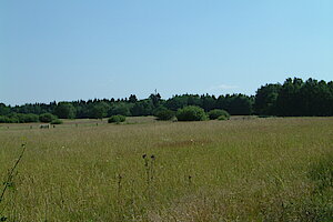 Sistig-Krekeler Heide