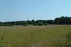 Sistig-Krekeler Heide © Biologische Station im Kreis Euskirchen