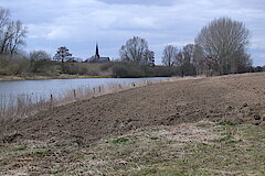 Kalflack © Naturschutzzentrum im Kreis Kleve e.V.