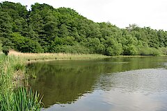 Raky Weiher © Naturschutzstation Haus Wildenrath