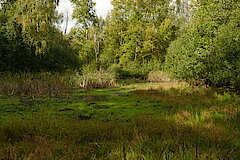 Meinweg © Naturschutzstation Haus Wildenrath