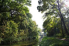 Naturferner Kanal im Parrig © Biologische Station Bonn / Rhein-Erft