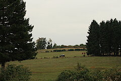 Abwechslungsreiche Landschaft © Regionalforstamt Siegen-Wittgenstein