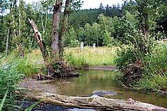 Renaturierung am Natolager © Kreis Soest