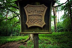 Naturdenkmal Sechseichen © Naturschutzstation Haus Wildenrath