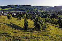 Wachholder im NSG Stockberg bei Ottbergen © Frank Grawe