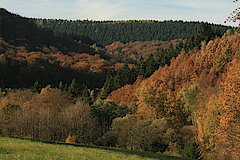 Siegerland-Panoramablick © Regionalforstamt Siegen-Wittgenstein