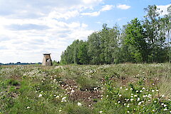 Blick übers Moor © H. Nagel