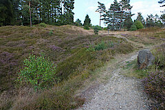 Bergbauwüstung Altenberg © Biologische Station Siegen-Wittgenstein