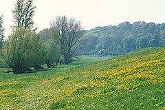 Bislicher Insel © Biologische Station im Kreis Wesel e.V.