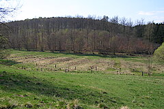 Siegerländer Rieselwiese - Tradition der Siegerländer Wiesenbauschule © Michael Gertz