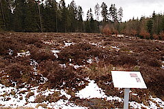 Wasserdell © Biologische Station im Kreis Euskirchen e.V.