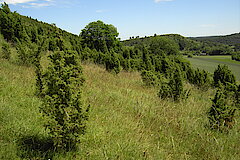 Eierberg © Biologische Station im Kreis Euskirchen e.V.