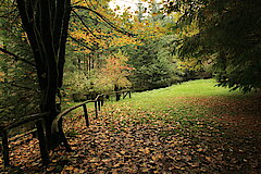 Wege durch den Wald © Regionalforstamt Siegen-Wittgenstein