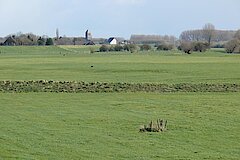 Dornicksche Ward © Naturschutzzentrum im Kreis Kleve