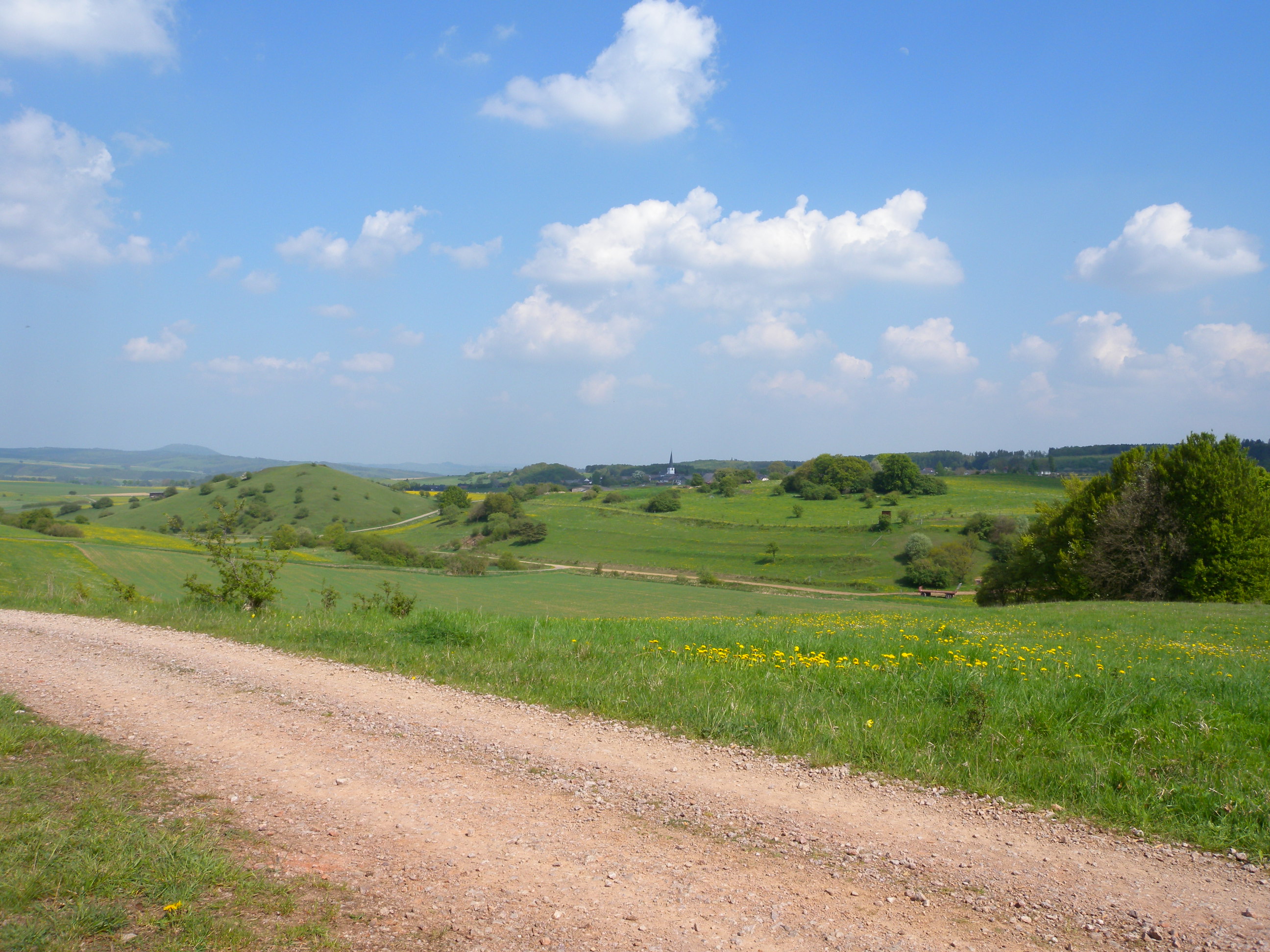 Landschaft bei Dollendorf © Biologische Station im Kreis Euskirchen e.V.