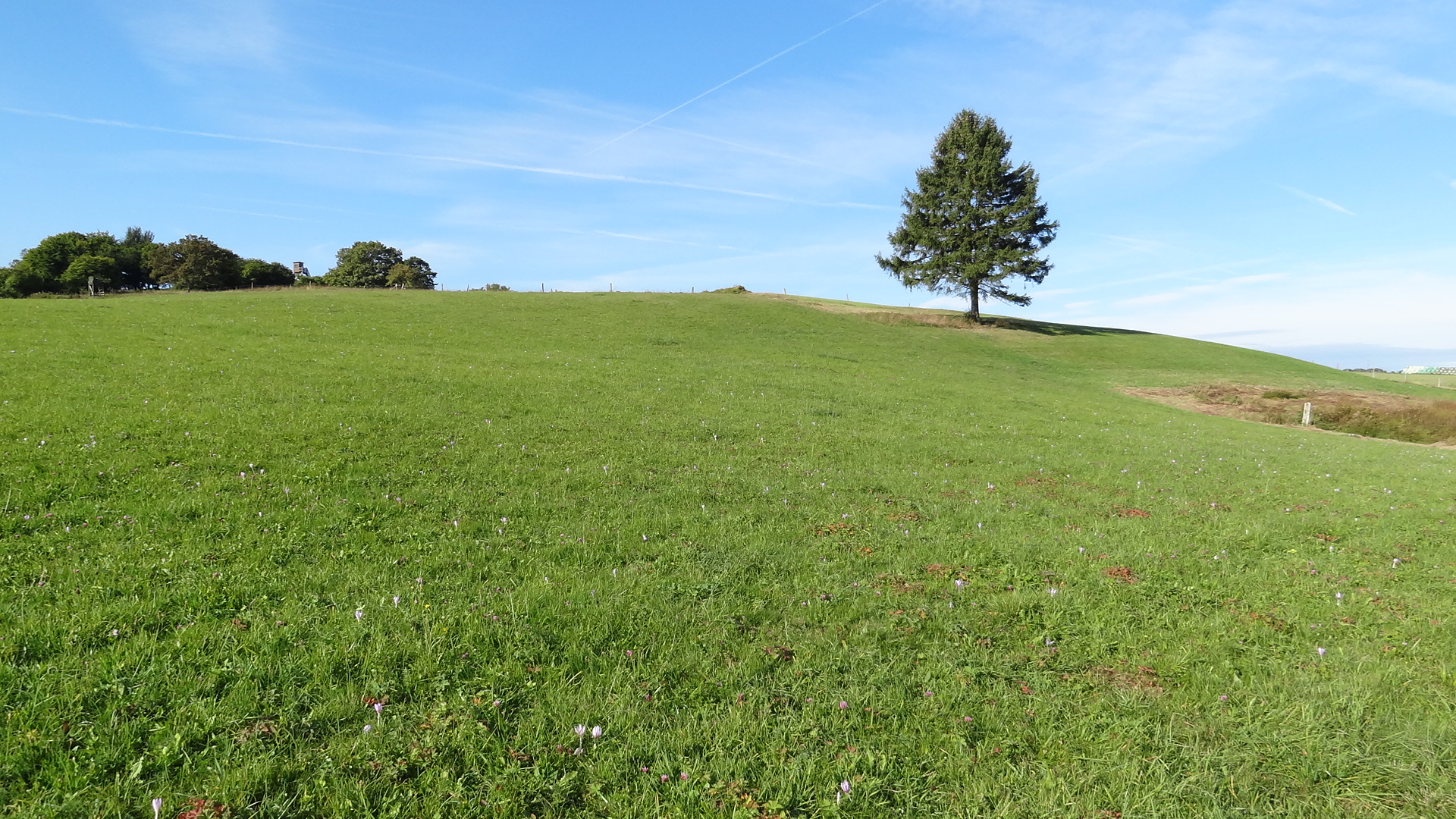 Unteres Genfbachtal © Biologische Station im Kreis Euskirchen