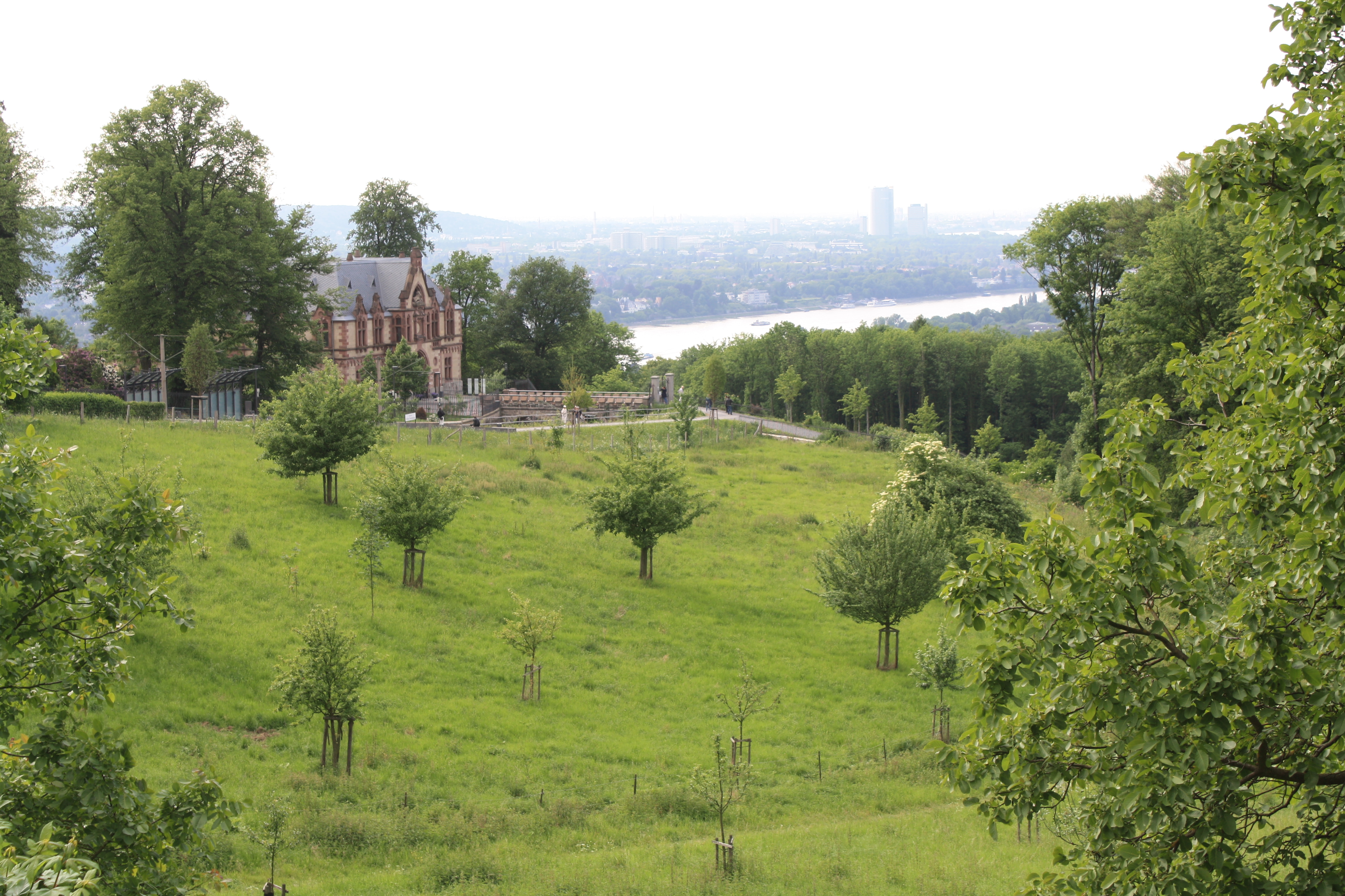 Obstwiese bei Schloss Drachenburg © Klaus Weddeling