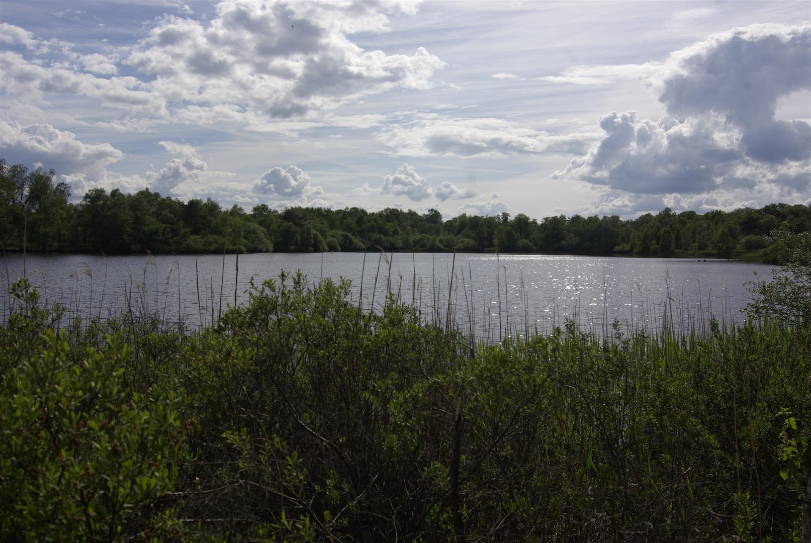 Erdfallsee © Biologische Station Steinfurt e.V.