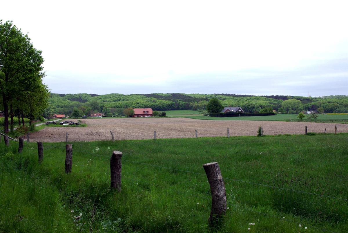 Blick auf den nördlichen Teutoburger Wald © Biologische Station Kreis Steinfurt e.V.